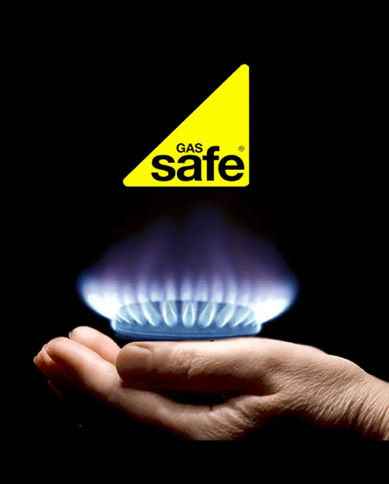 Domestic Gas Safety